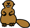 castor.gif (2927 octets)